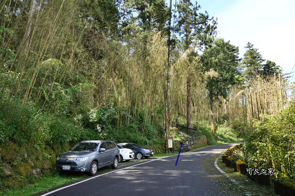 嘉義阿里山,拍照,杉木林,森林浴,療癒,石棹,秘境,網美,芬多精,輕旅行,避暑,雲之道步道