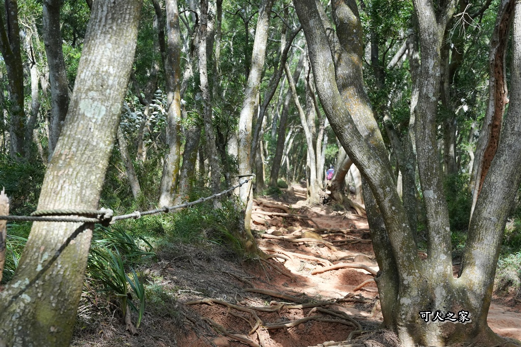O型環狀,壯闊美景,奉茶隊,挑戰路線,火炎山大峽谷,登山健行,網美景點,苗栗一日遊,苗栗景點,苗栗火炎山步道,親子步道