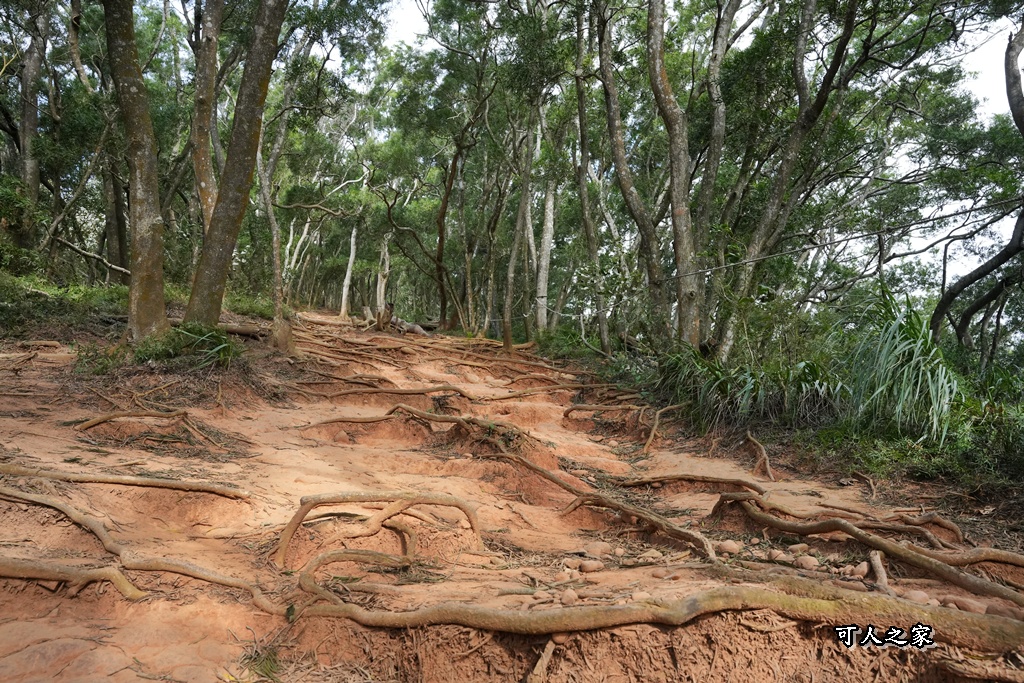 O型環狀,壯闊美景,奉茶隊,挑戰路線,火炎山大峽谷,登山健行,網美景點,苗栗一日遊,苗栗景點,苗栗火炎山步道,親子步道