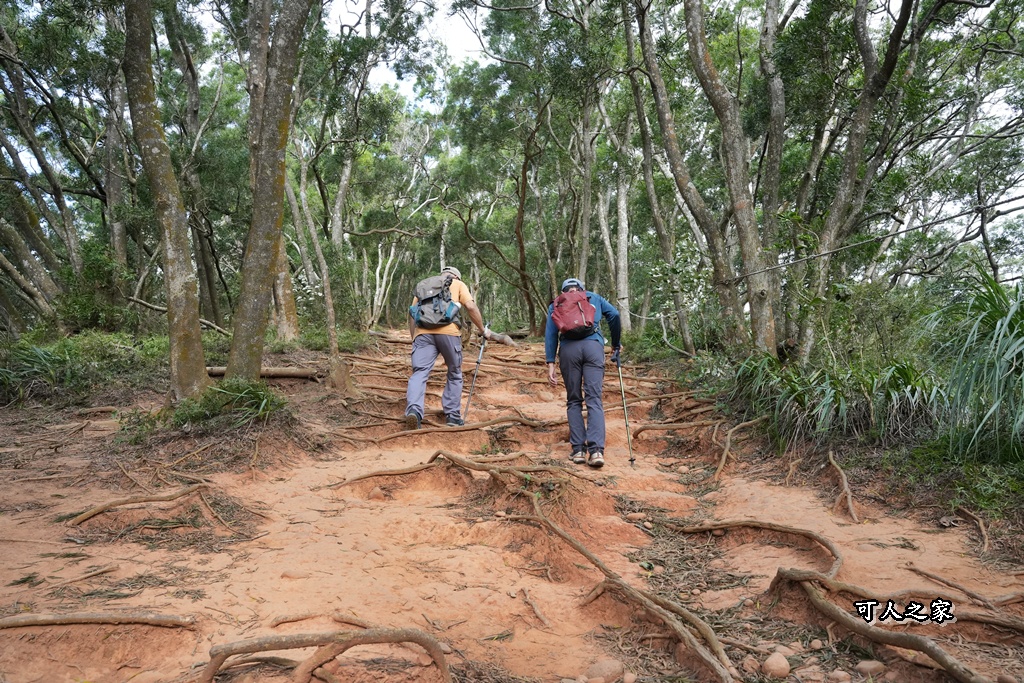O型環狀,壯闊美景,奉茶隊,挑戰路線,火炎山大峽谷,登山健行,網美景點,苗栗一日遊,苗栗景點,苗栗火炎山步道,親子步道