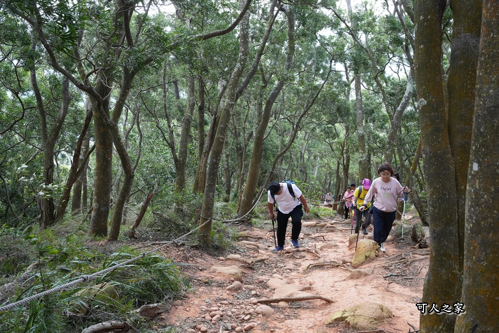 O型環狀,壯闊美景,奉茶隊,挑戰路線,火炎山大峽谷,登山健行,網美景點,苗栗一日遊,苗栗景點,苗栗火炎山步道,親子步道