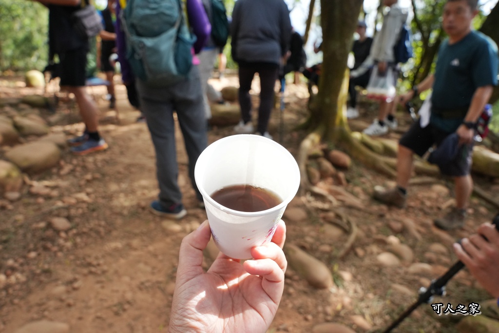 O型環狀,壯闊美景,奉茶隊,挑戰路線,火炎山大峽谷,登山健行,網美景點,苗栗一日遊,苗栗景點,苗栗火炎山步道,親子步道