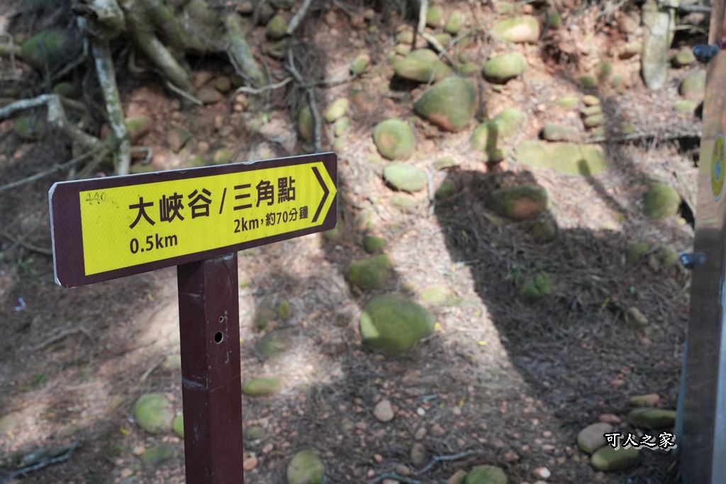 O型環狀,壯闊美景,奉茶隊,挑戰路線,火炎山大峽谷,登山健行,網美景點,苗栗一日遊,苗栗景點,苗栗火炎山步道,親子步道