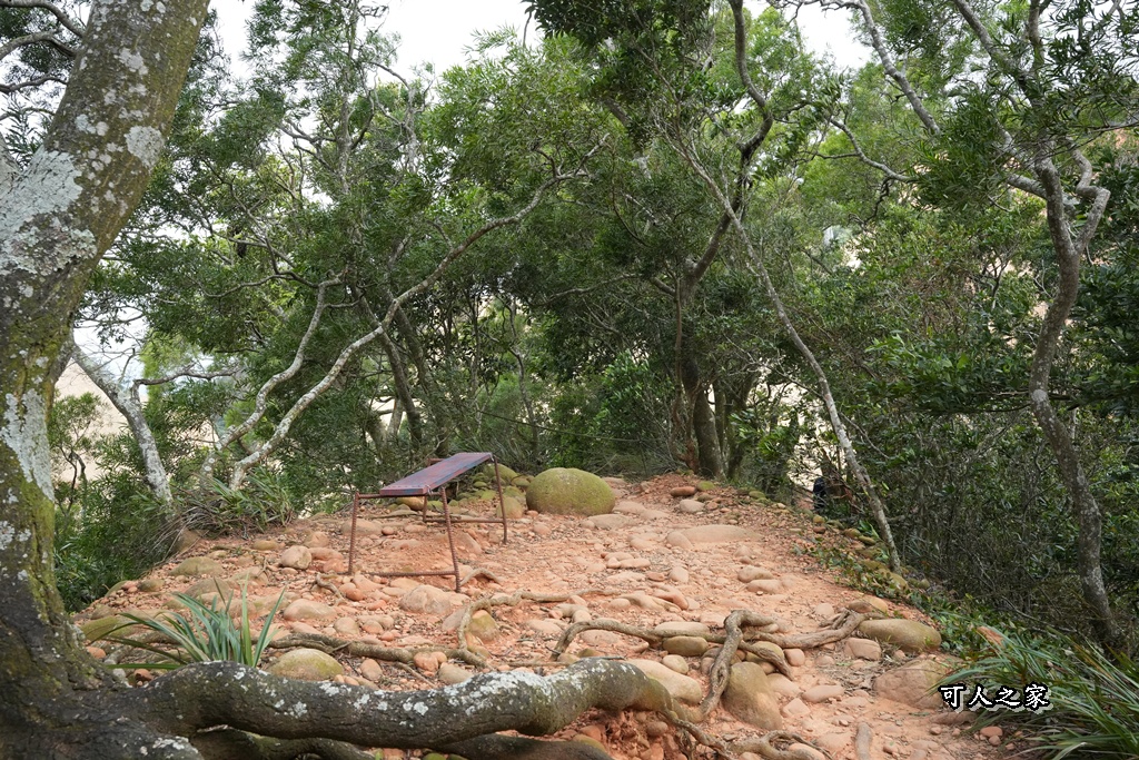 O型環狀,壯闊美景,奉茶隊,挑戰路線,火炎山大峽谷,登山健行,網美景點,苗栗一日遊,苗栗景點,苗栗火炎山步道,親子步道