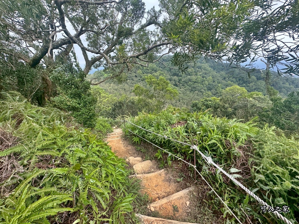 O型環狀,壯闊美景,奉茶隊,挑戰路線,火炎山大峽谷,登山健行,網美景點,苗栗一日遊,苗栗景點,苗栗火炎山步道,親子步道