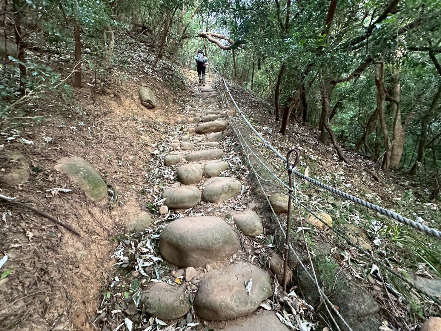 O型環狀,壯闊美景,奉茶隊,挑戰路線,火炎山大峽谷,登山健行,網美景點,苗栗一日遊,苗栗景點,苗栗火炎山步道,親子步道