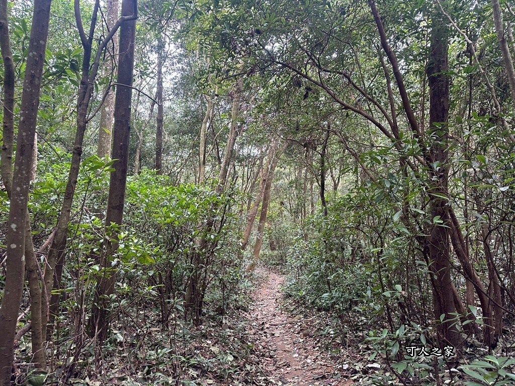 O型環狀,壯闊美景,奉茶隊,挑戰路線,火炎山大峽谷,登山健行,網美景點,苗栗一日遊,苗栗景點,苗栗火炎山步道,親子步道