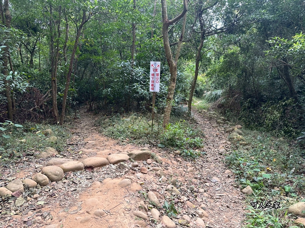 O型環狀,壯闊美景,奉茶隊,挑戰路線,火炎山大峽谷,登山健行,網美景點,苗栗一日遊,苗栗景點,苗栗火炎山步道,親子步道