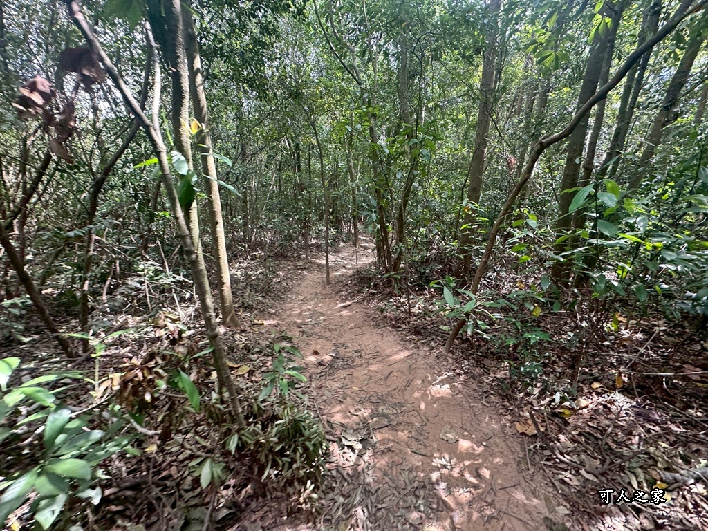 O型環狀,壯闊美景,奉茶隊,挑戰路線,火炎山大峽谷,登山健行,網美景點,苗栗一日遊,苗栗景點,苗栗火炎山步道,親子步道