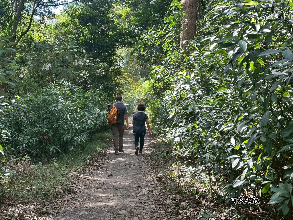 O型環狀,壯闊美景,奉茶隊,挑戰路線,火炎山大峽谷,登山健行,網美景點,苗栗一日遊,苗栗景點,苗栗火炎山步道,親子步道