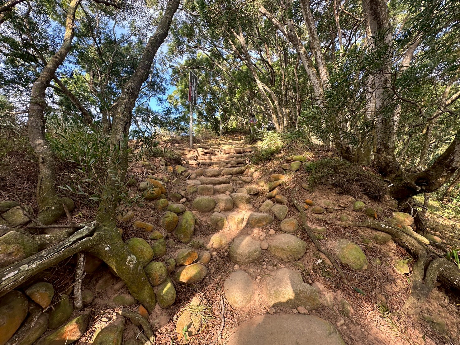 O型環狀,壯闊美景,奉茶隊,挑戰路線,火炎山大峽谷,登山健行,網美景點,苗栗一日遊,苗栗景點,苗栗火炎山步道,親子步道