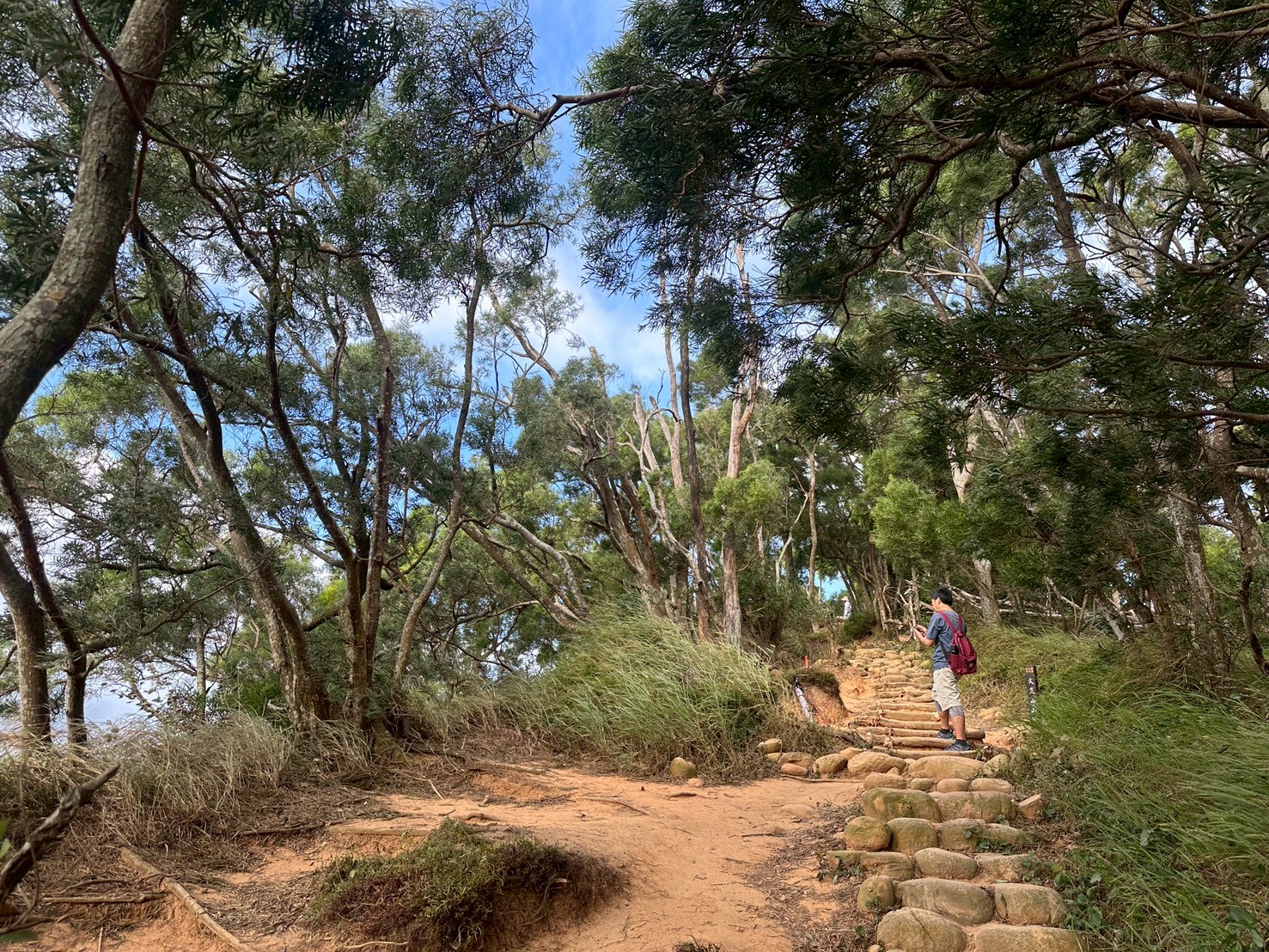 O型環狀,壯闊美景,奉茶隊,挑戰路線,火炎山大峽谷,登山健行,網美景點,苗栗一日遊,苗栗景點,苗栗火炎山步道,親子步道