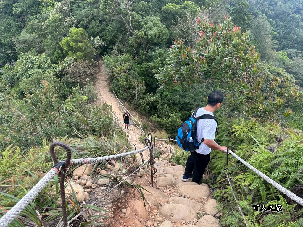 O型環狀,壯闊美景,奉茶隊,挑戰路線,火炎山大峽谷,登山健行,網美景點,苗栗一日遊,苗栗景點,苗栗火炎山步道,親子步道