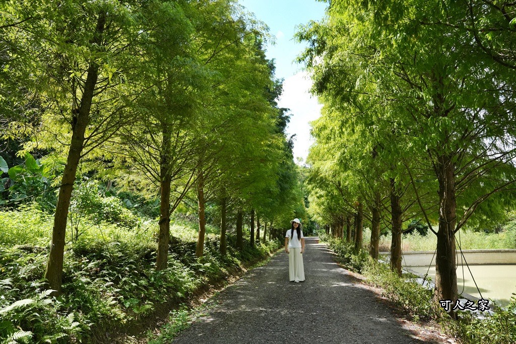 ig打卡,IG景點,三峽,三峽一日遊,三峽下午茶,三峽咖啡廳,三峽打卡,三峽景觀餐廳,三峽特色餐廳,三峽秘境,三峽美食推薦,九重葛步道,低消,免費停車,咖啡甜點,夢幻玻璃屋,大型裝置藝術,山林秘境,戶外用餐區,打卡熱點,拍照景點,新北,新北三峽,新北三峽醉月景觀餐廳,新北下午茶,新北咖啡廳,新北景點,新北約會,新開幕餐廳,景觀咖啡,景觀咖啡廳,景觀餐廳,玻璃屋,異國風情餐廳,粉紅頑皮豹,粉紅頑皮豹打卡,約會餐廳,綠意庭園,網美咖啡,網美咖啡廳,網美景點,網美餐廳,落羽松,落羽松大道,親子景點,輕食咖啡廳,醉月,醉月景觀餐廳,雙心裝置,鳶山紅樓