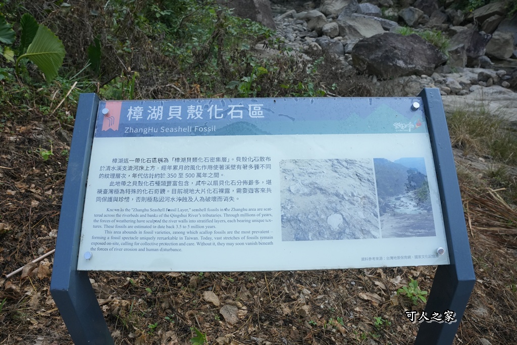 ig打卡,古坑景點,地質奇景,天長地久瀑布步道,森林浴,瀑布祕境,療癒系景點,自然寶庫,親子步道,貝殼化石,輕鬆健行,雲林古坑