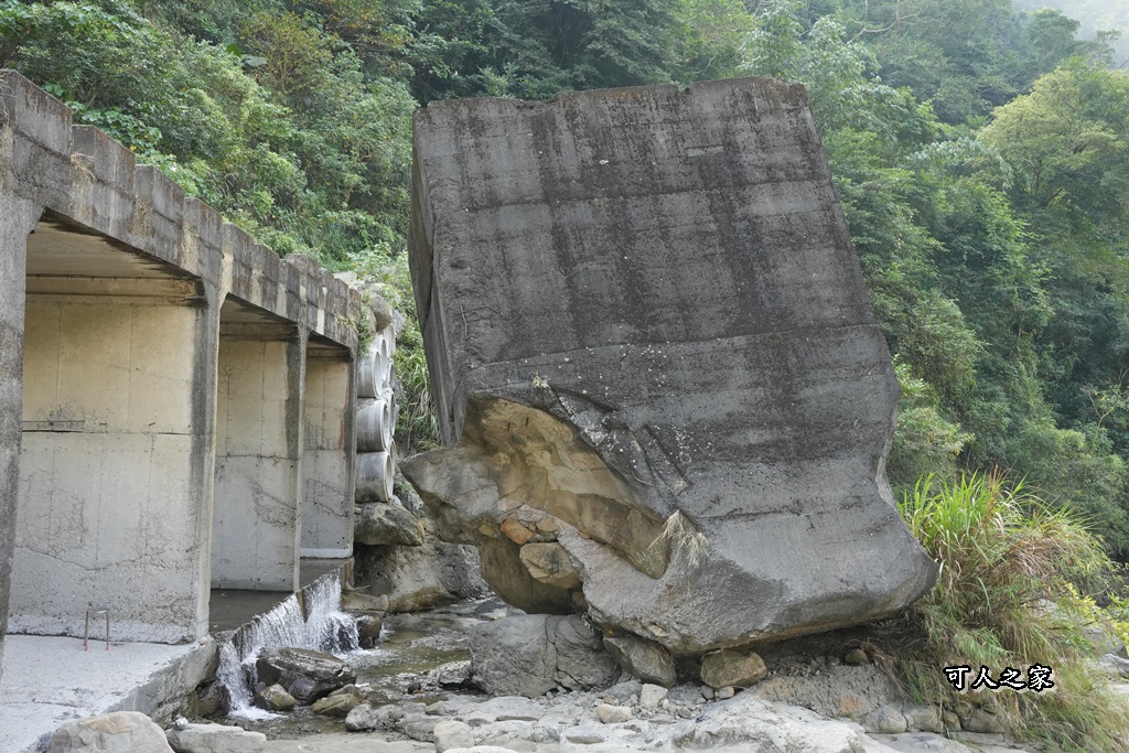 ig打卡,古坑景點,地質奇景,天長地久瀑布步道,森林浴,瀑布祕境,療癒系景點,自然寶庫,親子步道,貝殼化石,輕鬆健行,雲林古坑