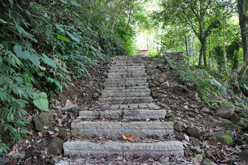 ig打卡,古坑景點,地質奇景,天長地久瀑布步道,森林浴,瀑布祕境,療癒系景點,自然寶庫,親子步道,貝殼化石,輕鬆健行,雲林古坑