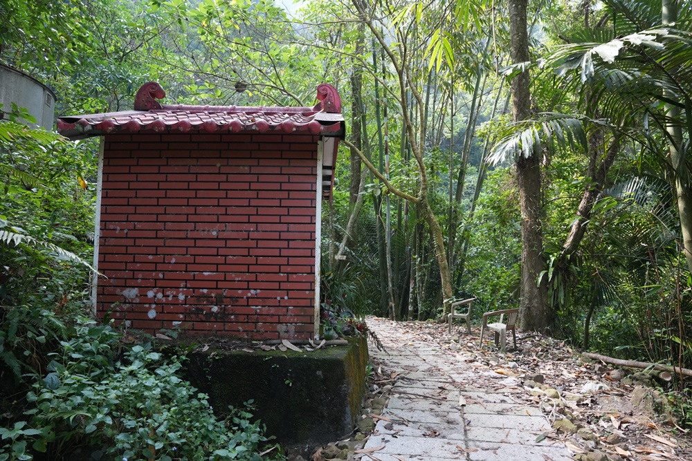 ig打卡,古坑景點,地質奇景,天長地久瀑布步道,森林浴,瀑布祕境,療癒系景點,自然寶庫,親子步道,貝殼化石,輕鬆健行,雲林古坑