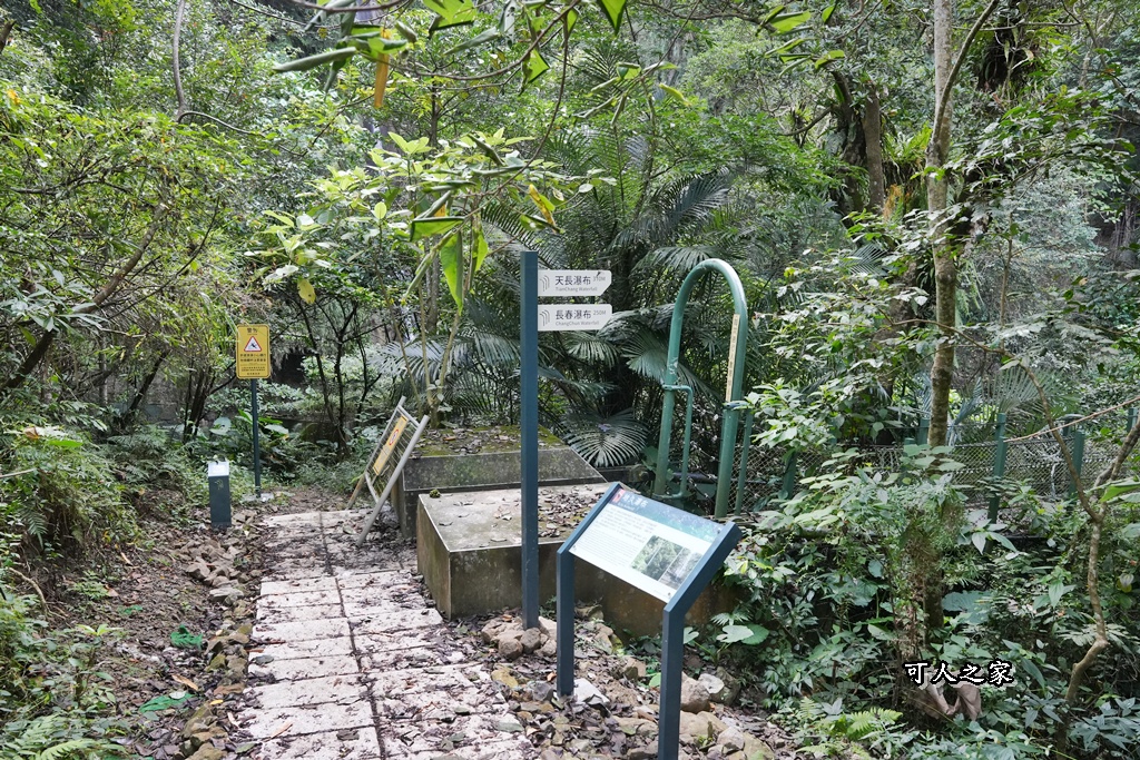 ig打卡,古坑景點,地質奇景,天長地久瀑布步道,森林浴,瀑布祕境,療癒系景點,自然寶庫,親子步道,貝殼化石,輕鬆健行,雲林古坑