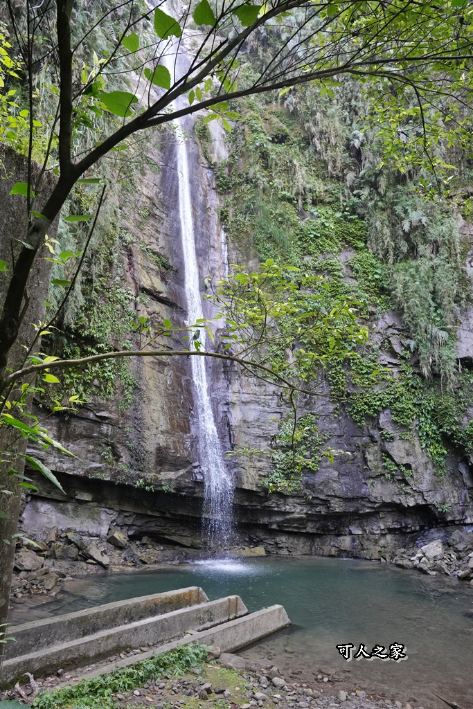 ig打卡,古坑景點,地質奇景,天長地久瀑布步道,森林浴,瀑布祕境,療癒系景點,自然寶庫,親子步道,貝殼化石,輕鬆健行,雲林古坑