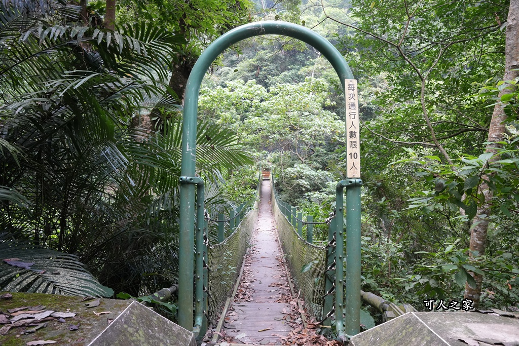 ig打卡,古坑景點,地質奇景,天長地久瀑布步道,森林浴,瀑布祕境,療癒系景點,自然寶庫,親子步道,貝殼化石,輕鬆健行,雲林古坑