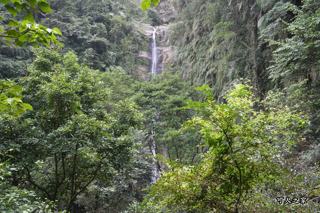 ig打卡,古坑景點,地質奇景,天長地久瀑布步道,森林浴,瀑布祕境,療癒系景點,自然寶庫,親子步道,貝殼化石,輕鬆健行,雲林古坑