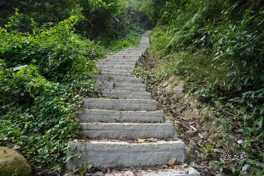 ig打卡,古坑景點,地質奇景,天長地久瀑布步道,森林浴,瀑布祕境,療癒系景點,自然寶庫,親子步道,貝殼化石,輕鬆健行,雲林古坑