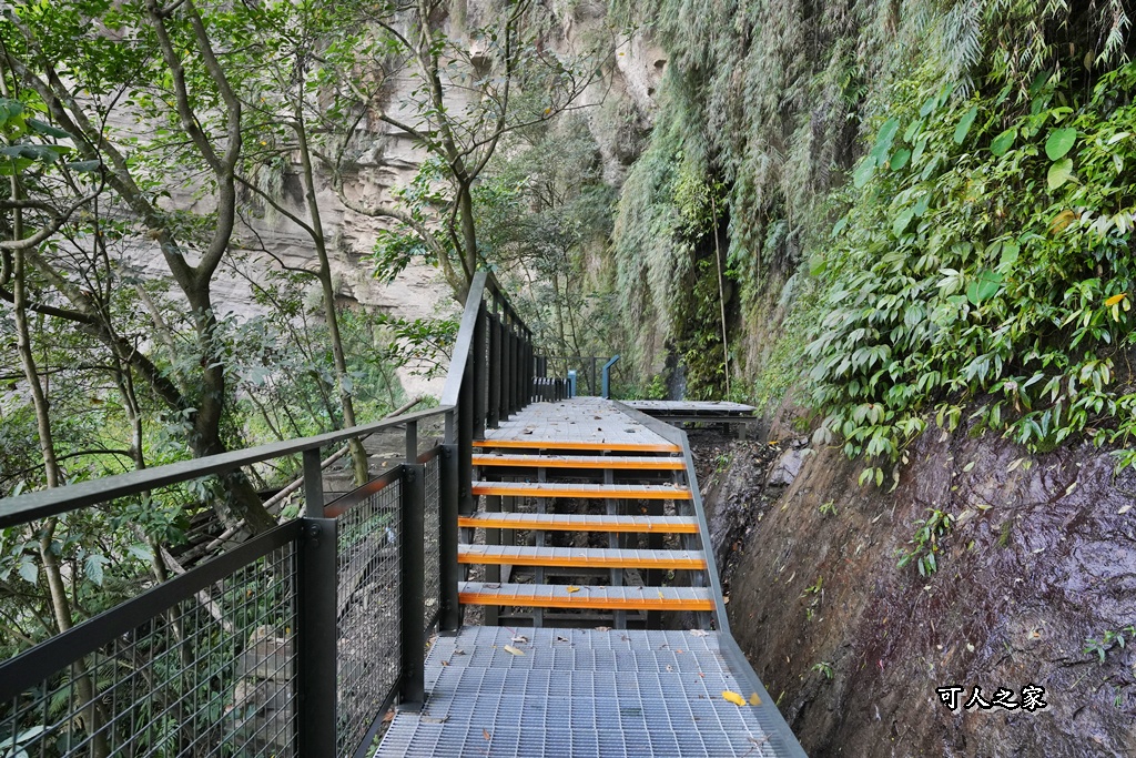 ig打卡,古坑景點,地質奇景,天長地久瀑布步道,森林浴,瀑布祕境,療癒系景點,自然寶庫,親子步道,貝殼化石,輕鬆健行,雲林古坑