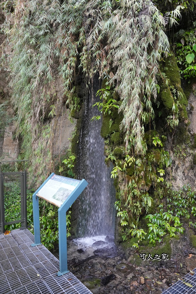 ig打卡,古坑景點,地質奇景,天長地久瀑布步道,森林浴,瀑布祕境,療癒系景點,自然寶庫,親子步道,貝殼化石,輕鬆健行,雲林古坑
