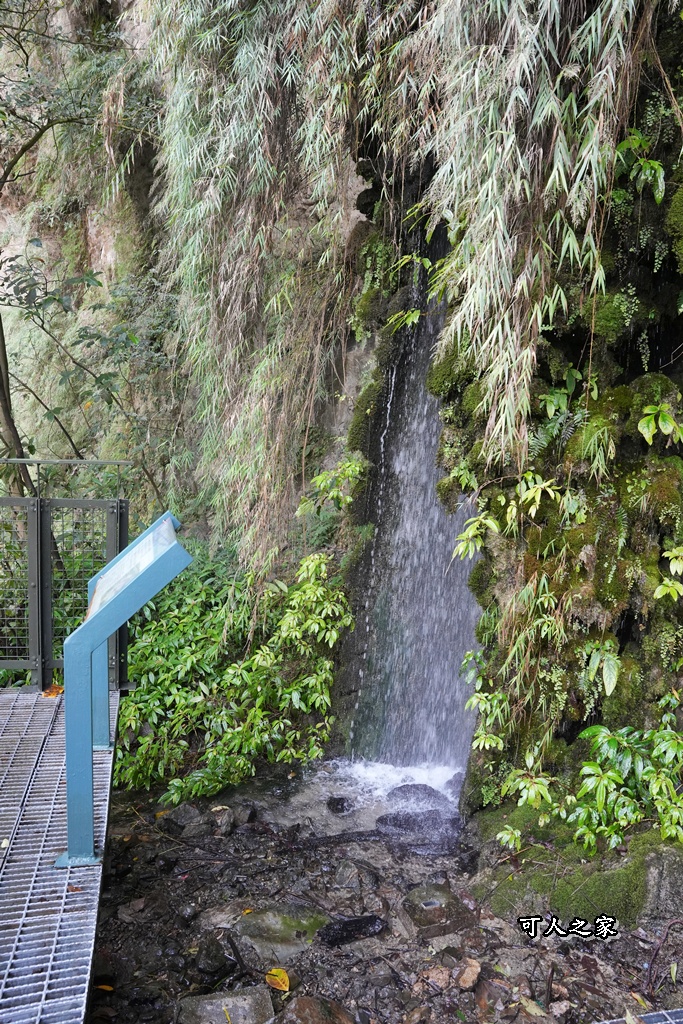 ig打卡,古坑景點,地質奇景,天長地久瀑布步道,森林浴,瀑布祕境,療癒系景點,自然寶庫,親子步道,貝殼化石,輕鬆健行,雲林古坑