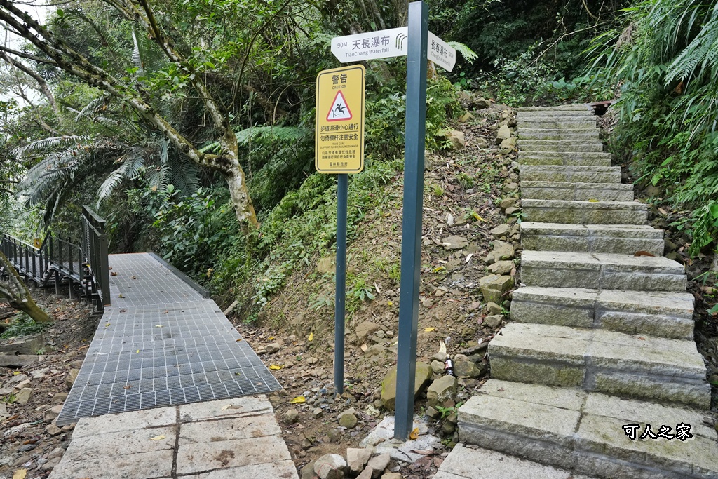 ig打卡,古坑景點,地質奇景,天長地久瀑布步道,森林浴,瀑布祕境,療癒系景點,自然寶庫,親子步道,貝殼化石,輕鬆健行,雲林古坑