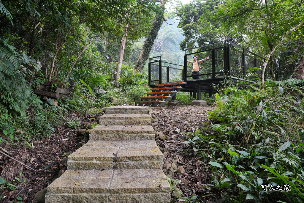 ig打卡,古坑景點,地質奇景,天長地久瀑布步道,森林浴,瀑布祕境,療癒系景點,自然寶庫,親子步道,貝殼化石,輕鬆健行,雲林古坑