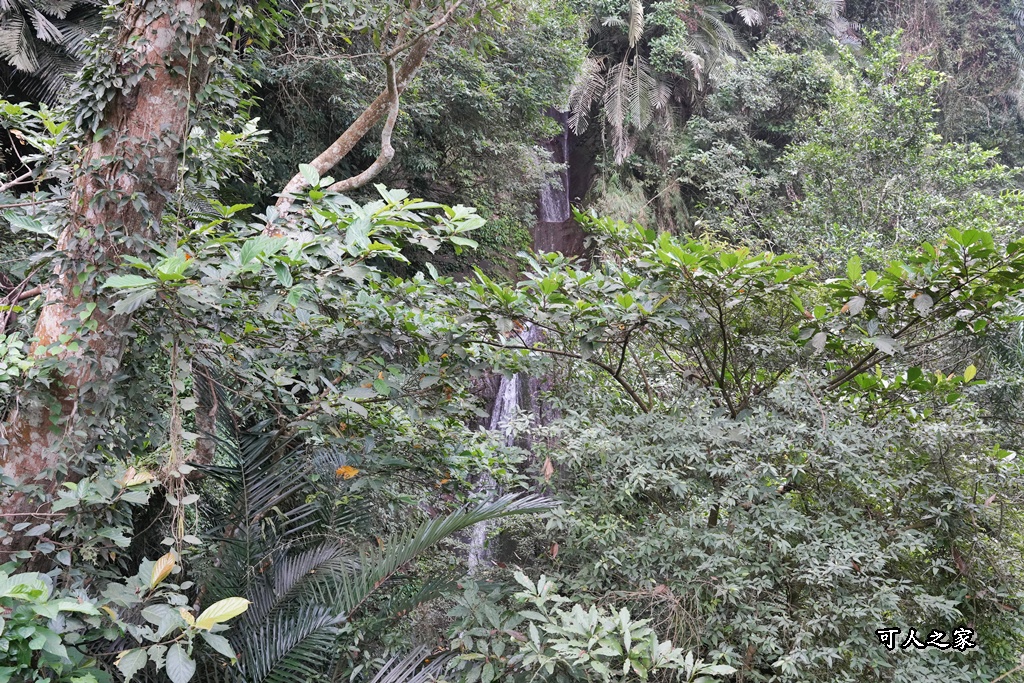 ig打卡,古坑景點,地質奇景,天長地久瀑布步道,森林浴,瀑布祕境,療癒系景點,自然寶庫,親子步道,貝殼化石,輕鬆健行,雲林古坑