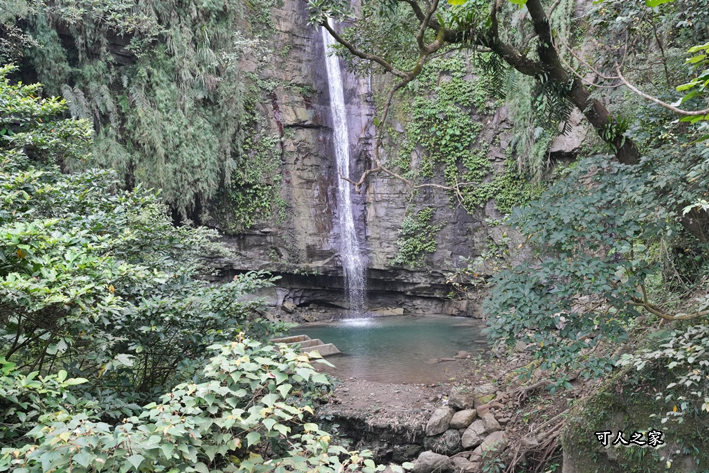 ig打卡,古坑景點,地質奇景,天長地久瀑布步道,森林浴,瀑布祕境,療癒系景點,自然寶庫,親子步道,貝殼化石,輕鬆健行,雲林古坑