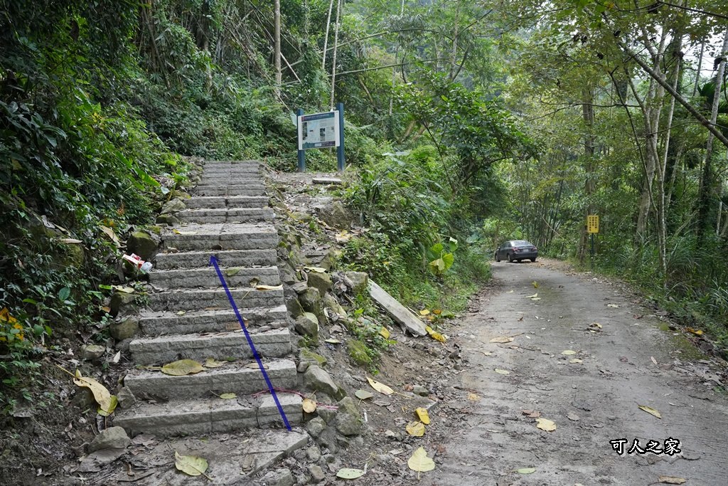 ig打卡,古坑景點,地質奇景,天長地久瀑布步道,森林浴,瀑布祕境,療癒系景點,自然寶庫,親子步道,貝殼化石,輕鬆健行,雲林古坑