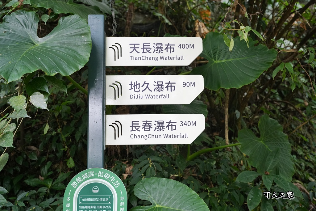 ig打卡,古坑景點,地質奇景,天長地久瀑布步道,森林浴,瀑布祕境,療癒系景點,自然寶庫,親子步道,貝殼化石,輕鬆健行,雲林古坑