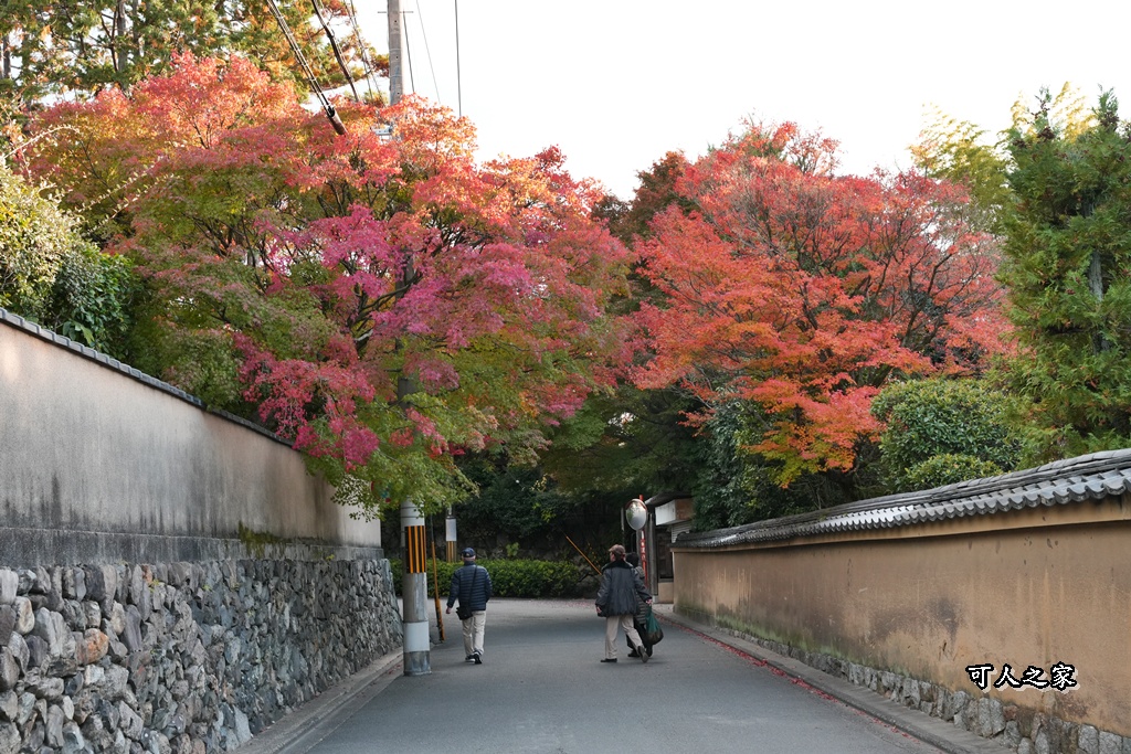 2025東福寺賞楓,京都必訪,京都楓葉,東福寺紅葉,楓葉攻略,楓葉秘境,賞楓心得,通天橋