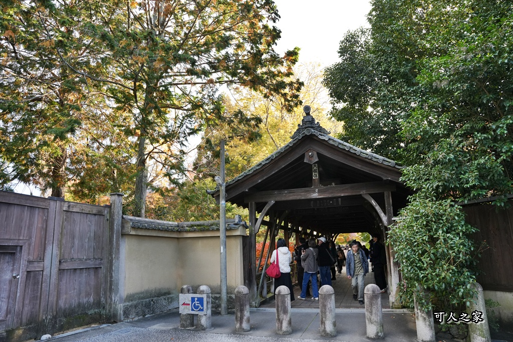 2025東福寺賞楓,京都必訪,京都楓葉,東福寺紅葉,楓葉攻略,楓葉秘境,賞楓心得,通天橋