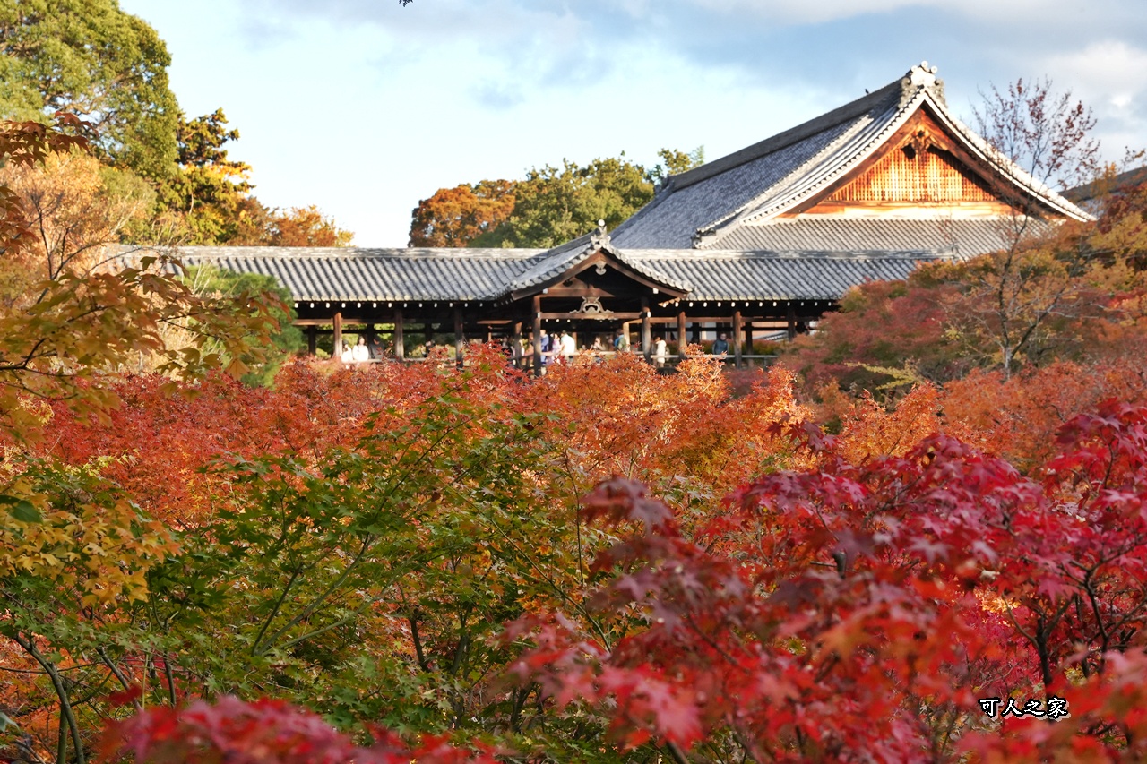 2025東福寺賞楓,京都必訪,京都楓葉,東福寺紅葉,楓葉攻略,楓葉秘境,賞楓心得,通天橋