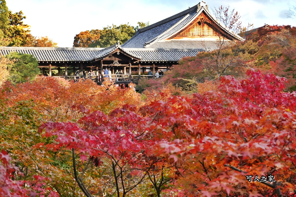 2025東福寺賞楓,京都必訪,京都楓葉,東福寺紅葉,楓葉攻略,楓葉秘境,賞楓心得,通天橋