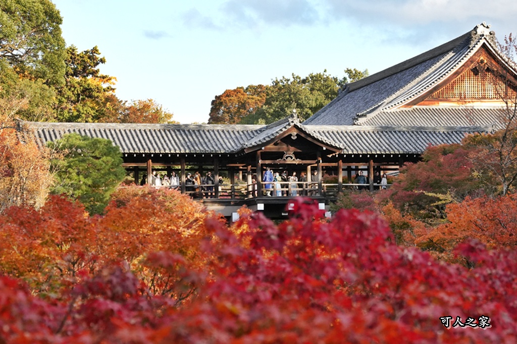 2025東福寺賞楓,京都必訪,京都楓葉,東福寺紅葉,楓葉攻略,楓葉秘境,賞楓心得,通天橋