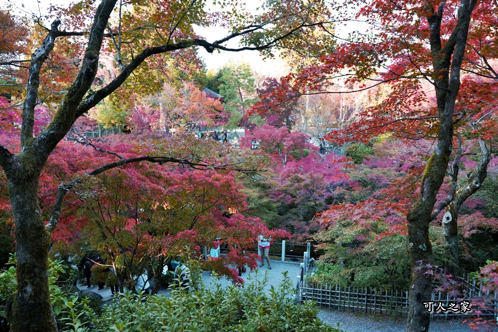 2025東福寺賞楓,京都必訪,京都楓葉,東福寺紅葉,楓葉攻略,楓葉秘境,賞楓心得,通天橋