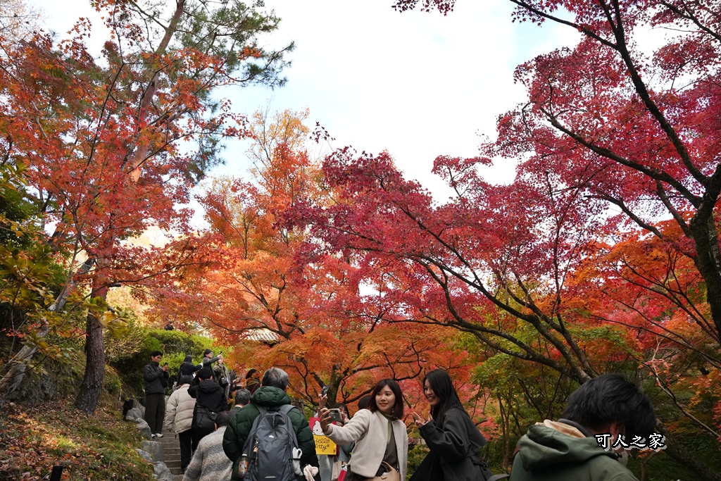 2025東福寺賞楓,京都必訪,京都楓葉,東福寺紅葉,楓葉攻略,楓葉秘境,賞楓心得,通天橋