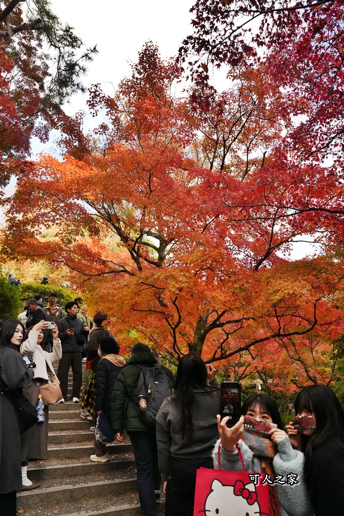 2025東福寺賞楓,京都必訪,京都楓葉,東福寺紅葉,楓葉攻略,楓葉秘境,賞楓心得,通天橋
