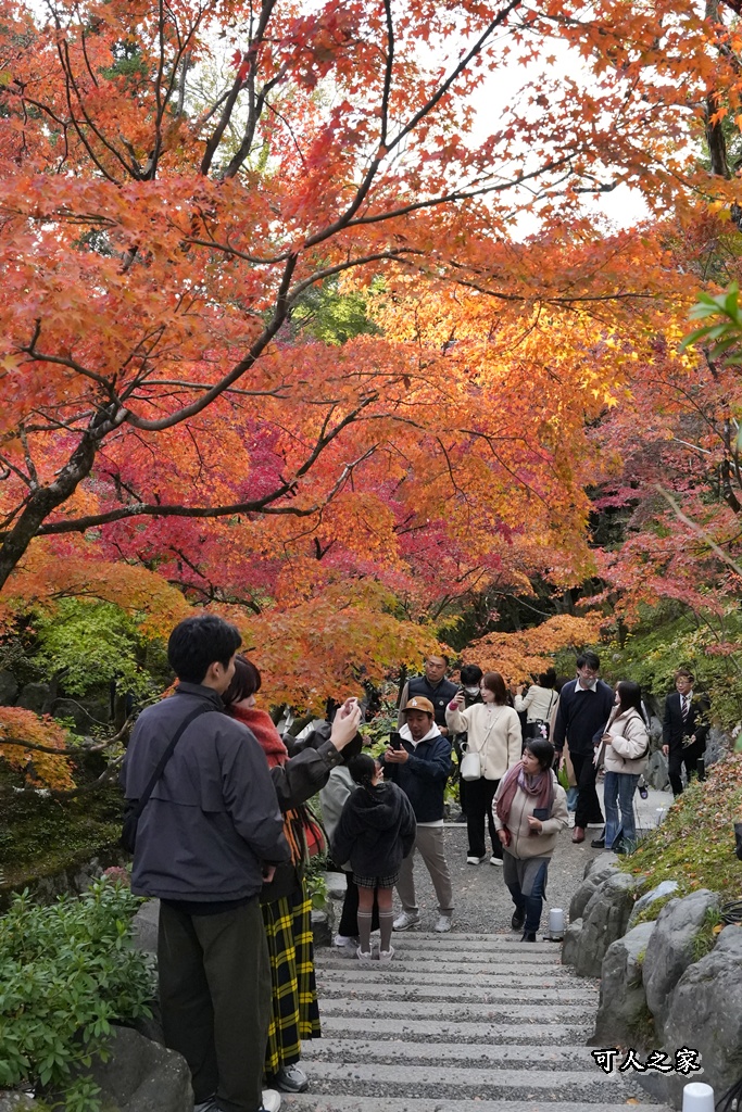 2025東福寺賞楓,京都必訪,京都楓葉,東福寺紅葉,楓葉攻略,楓葉秘境,賞楓心得,通天橋