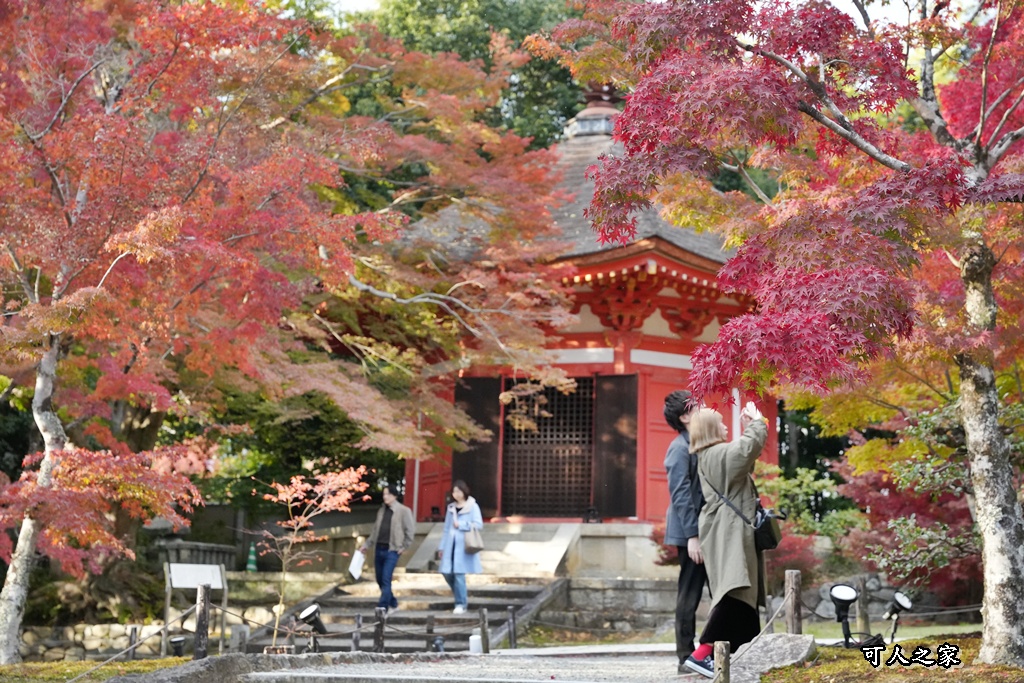 2025東福寺賞楓,京都必訪,京都楓葉,東福寺紅葉,楓葉攻略,楓葉秘境,賞楓心得,通天橋