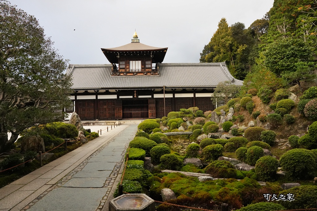 2025東福寺賞楓,京都必訪,京都楓葉,東福寺紅葉,楓葉攻略,楓葉秘境,賞楓心得,通天橋
