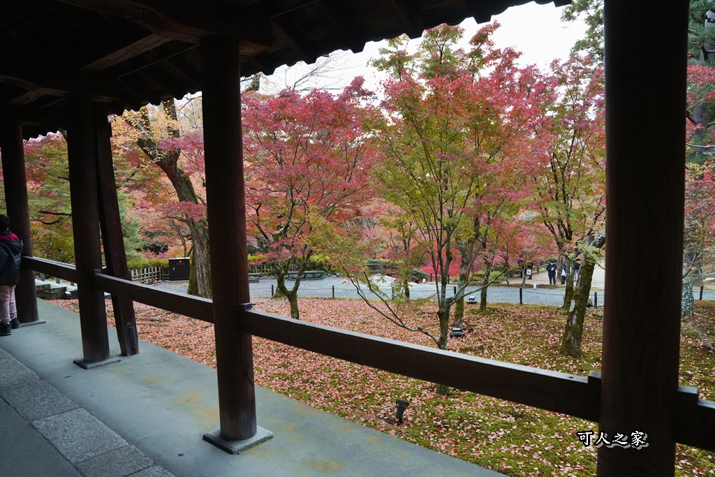 2025東福寺賞楓,京都必訪,京都楓葉,東福寺紅葉,楓葉攻略,楓葉秘境,賞楓心得,通天橋