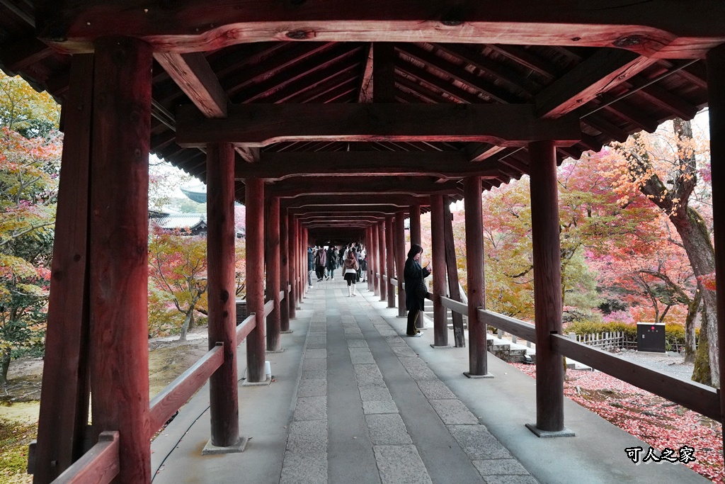 2025東福寺賞楓,京都必訪,京都楓葉,東福寺紅葉,楓葉攻略,楓葉秘境,賞楓心得,通天橋