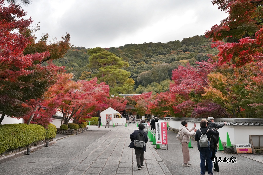 2025永觀堂,京都一日遊,京都必去,京都紅葉,京都賞楓,南禪寺,天授庵,日本賞楓攻略,楓葉季,永觀堂,永觀堂交通,永觀堂夜間參觀,永觀堂放生池,永觀堂茶點,永觀堂賞楓,永觀堂門票,關西賞楓